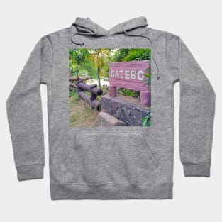 wildlife, lagoon, birds, nature, water, bird, beach, animal, egret, wildlife, lake, little egret, pelican, sydney, wildlife sanctuary Hoodie